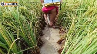 village nomita Spray on rice plants Bengali audio dirty